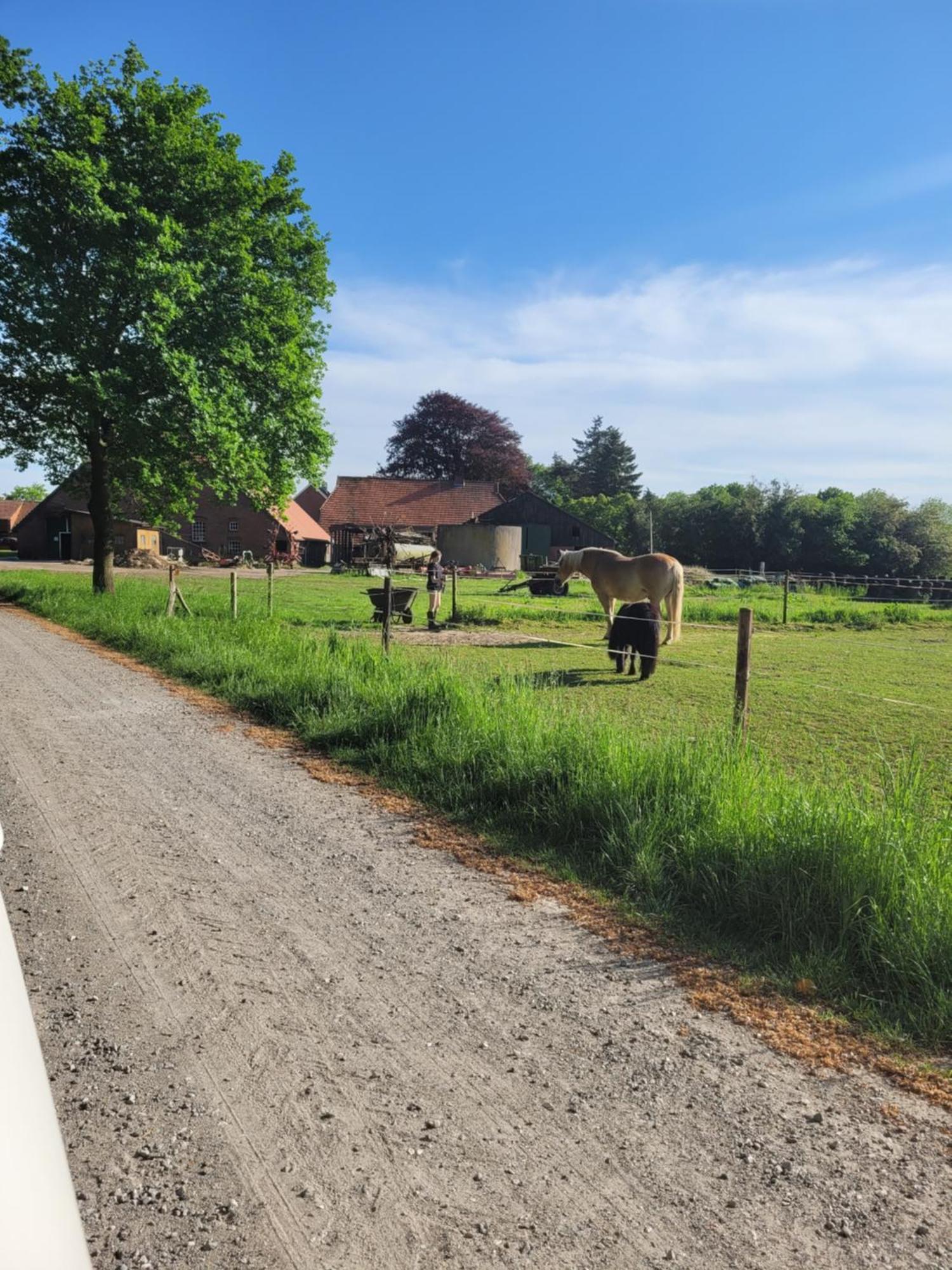 Reiterhof Jaegersburg Ferienwohnung Varel Dış mekan fotoğraf